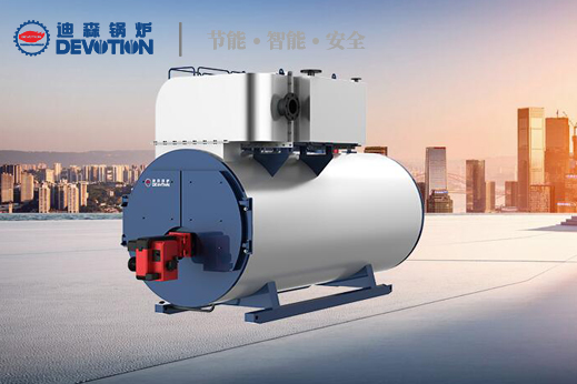 迪森(sēn)（常州）鍋爐有(yǒu)限公司